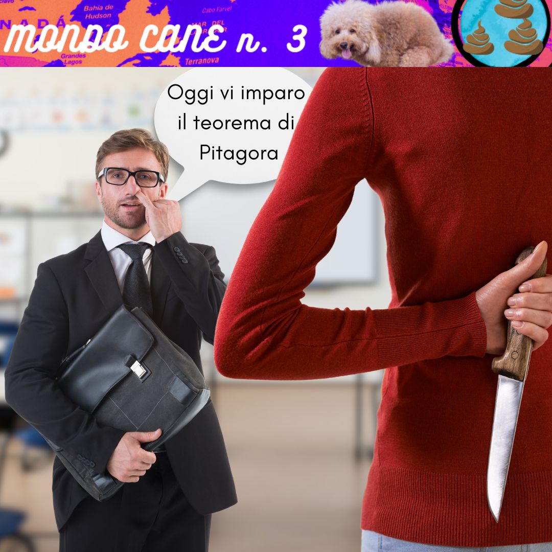 Siete proprio sicuri che tutte le colpe ricadano sugli studenti?